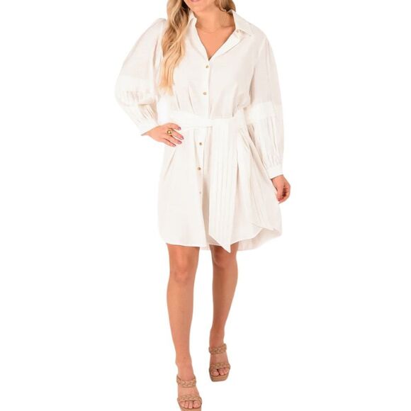 Emily McCarthy Oxford Shirt Dress - White Linen - Size Small - Picture 1 of 5